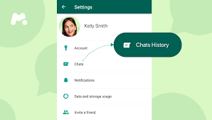 Check WhatsApp Chat History